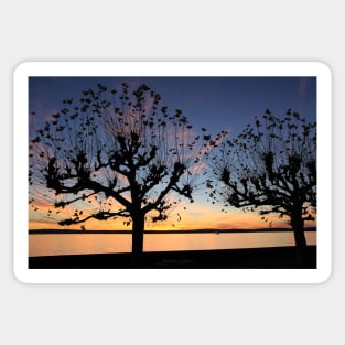 Sunset at Meersburg - Lake Constance Sticker